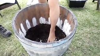 Gay Feet Crush Grapes