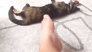 Pezão de macho - video 3