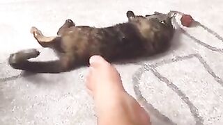 Pezão de macho - video 3
