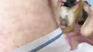 Dog play with Gay feet