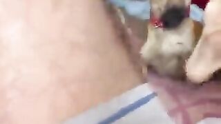 Dog play with Gay feet