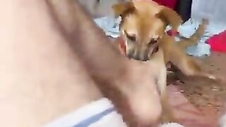 Dog play with Gay feet