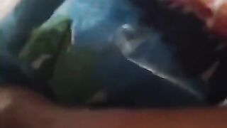 Boy soaks huge nappy then nuts hard humping pillow [REUPLOAD]