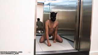 Erotic massage pup play