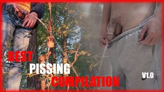 Public pissing compilation - Big Dick and balls, uncut