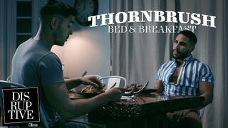 Perverted Bed and Breakfast Owner Creeps On and Bangs Stranded Stud - Nico Coopa, Brock Banks