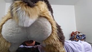 Not Giving That Slutty Fox a Break