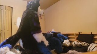 Johnny Huskey X Blazko The Fox
