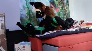 German shepherd barebacks a bunny - Fursuit yiff barebacking