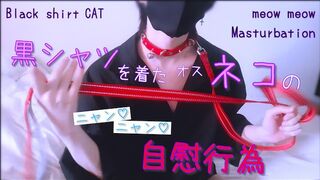 Masturbating "Meow ♡ Meow ♡" of a male cat in a black shirt. Collar / Lead