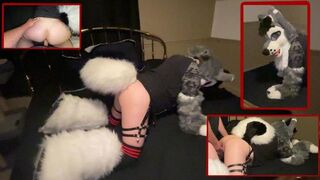 FURRY WHUSKY TWUNK GETS FUCKED BREEDING & VIBED (Murrsuit)