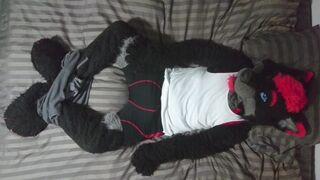 Cute Fursuit Stripping