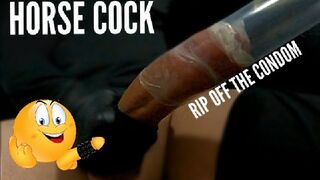 Huge Dick Worship on your knees POV Between My Legs and Suck