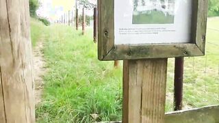 A naked walk upand down the hill on popular walk