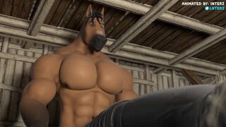 Horse Cock and Muscle Growth Animation