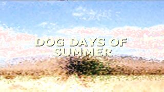 Dog Days Of Summer (Animation)