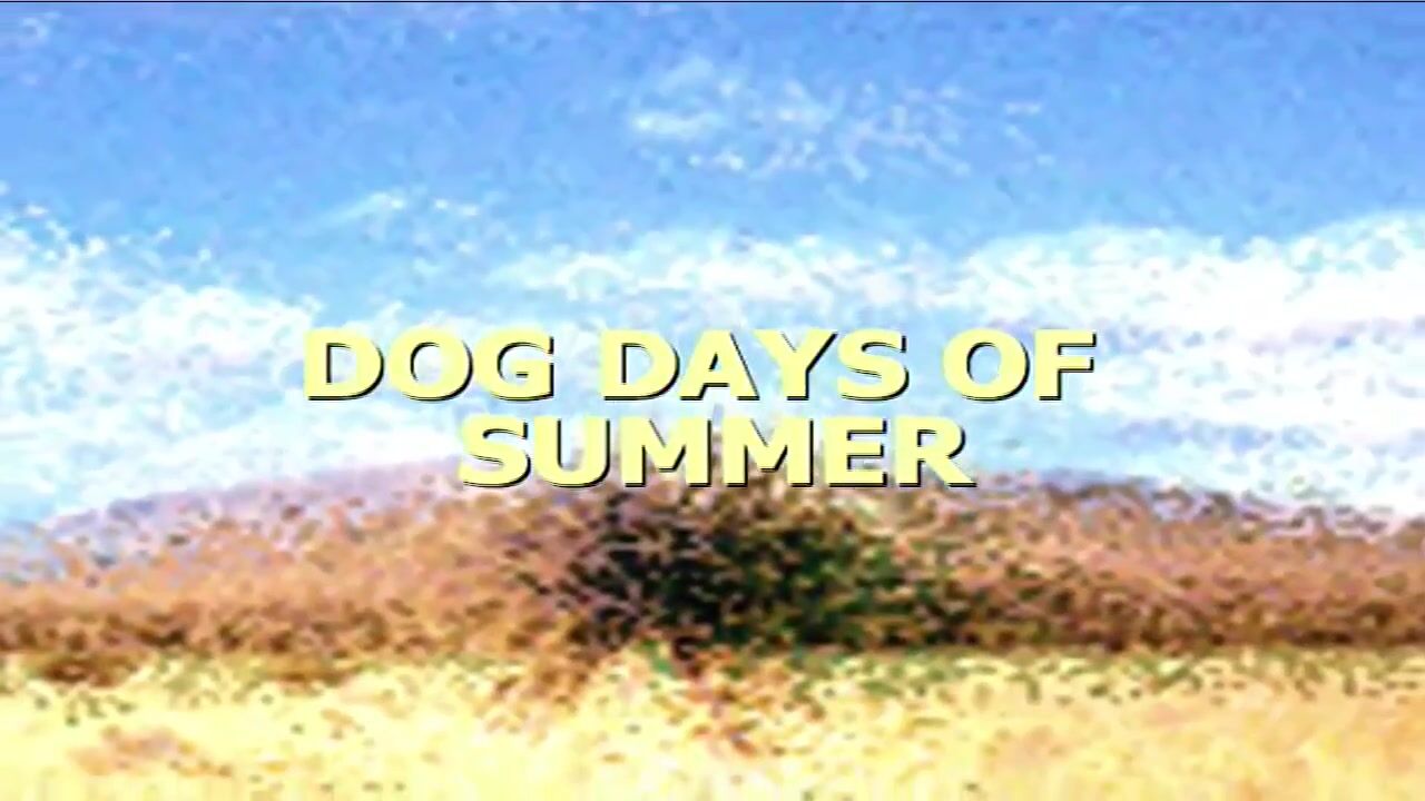 Dog Days Of Summer (Animation)
