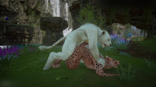 Wildlife Furry Gay Porn (Kral_Rawn)