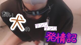 "Woof ♡ Woof ♡" estrus of a pet dog wearing a sweatshirt