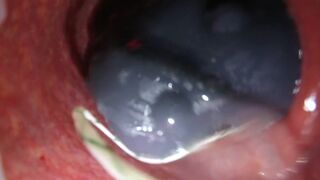 Internal View Bad Dragon Cum