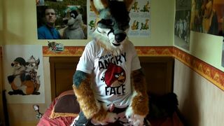 First time pawing in my new Repo fursuit